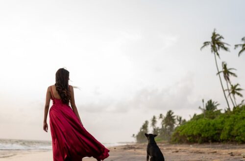 Fondue - Herkullisen Fondue Illallisen Salaisuudet – Näin Luot Unohtumattoman Illan