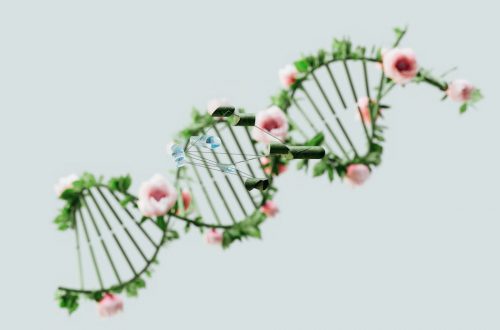 Syöpä - RNACOREX: Vallankumouksellinen työkalu syövän sisäiset verkostot avaa uusia ovia hoitoon