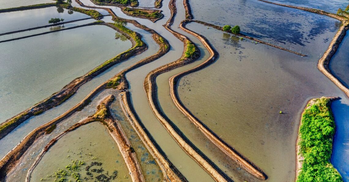 epidemiat - Yhteisön hajoaminen kiihdyttää epätoivon kuolemat – Tutkimus paljastaa syitä ja ratkaisuja