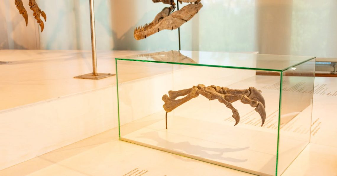 Virukset - Muinaiset luurangot avaavat salaisuuksia: Herpesviruksen tuhansien vuosien taival ihmiskunnan rinnalla