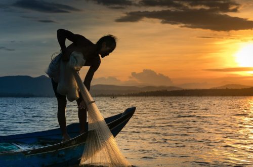 Cioppino - Tutustu San Franciscon Merenelävien Aarteeseen: Cioppino San Franciscossa