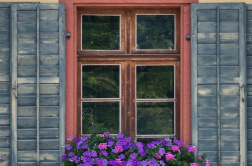 Sieniruoka - Tutustu Sieni Farrottoon: Italialaisen Keittiön Uusi Tähti