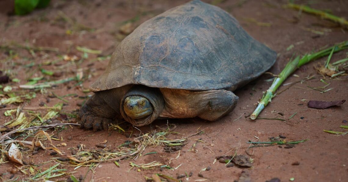 Hyvinvointi - Näin Luot Terveellisen ja Hyvinvointiin Keskittyvän Ruokakomeron Vuodelle 2023