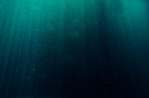 Ameebat - Vaaralliset ameebat uivat vesissämme: Kuinka suojautua näkymättömältä uhalta