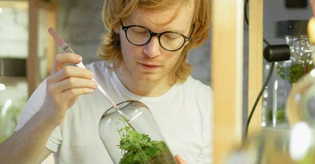 Jälkiruoat - Tutustu Italialaisten Jälkiruokien Taikaan – Luo Makujen Karnevaali Kotikeittiössäsi