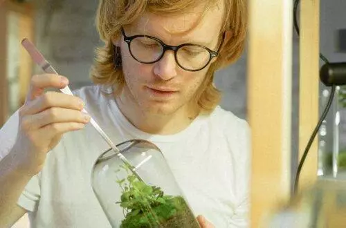 Jälkiruoat - Tutustu Italialaisten Jälkiruokien Taikaan – Luo Makujen Karnevaali Kotikeittiössäsi