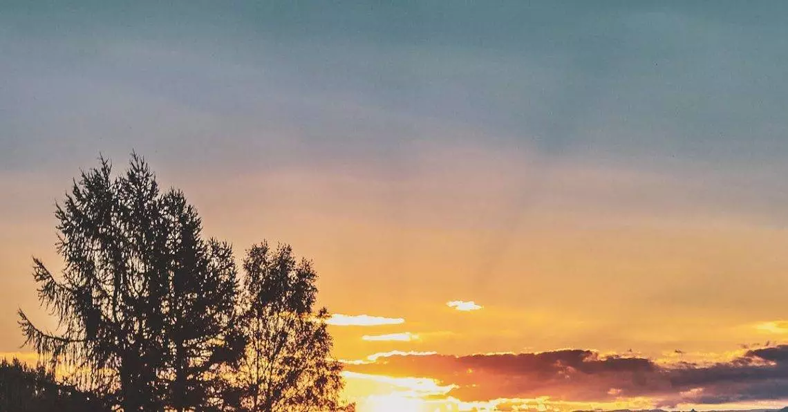 Kahvitiiviste - Kahvikonsentraatti: Vallankumous Kahvinjuojien Arjessa